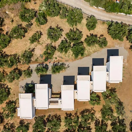 Olea Villas By Halu!, Cozy Villa In Nikiti Lagomandra Exterior photo
