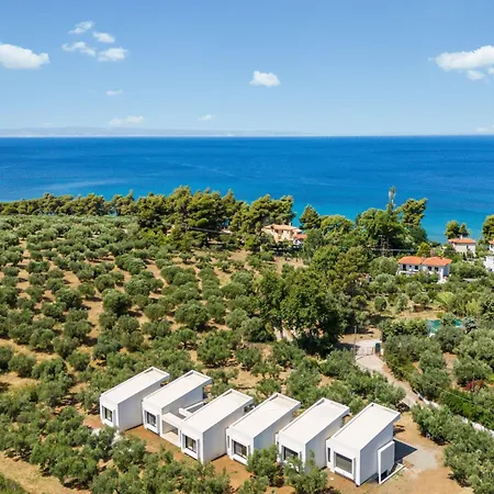 Olea Villas By Halu!, Cozy Villa In Nikiti Lagomandra Exterior photo