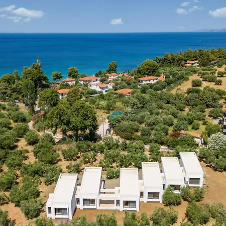 Olea Villas By Halu!, Cozy Villa In Nikiti Lagomandra Exterior photo