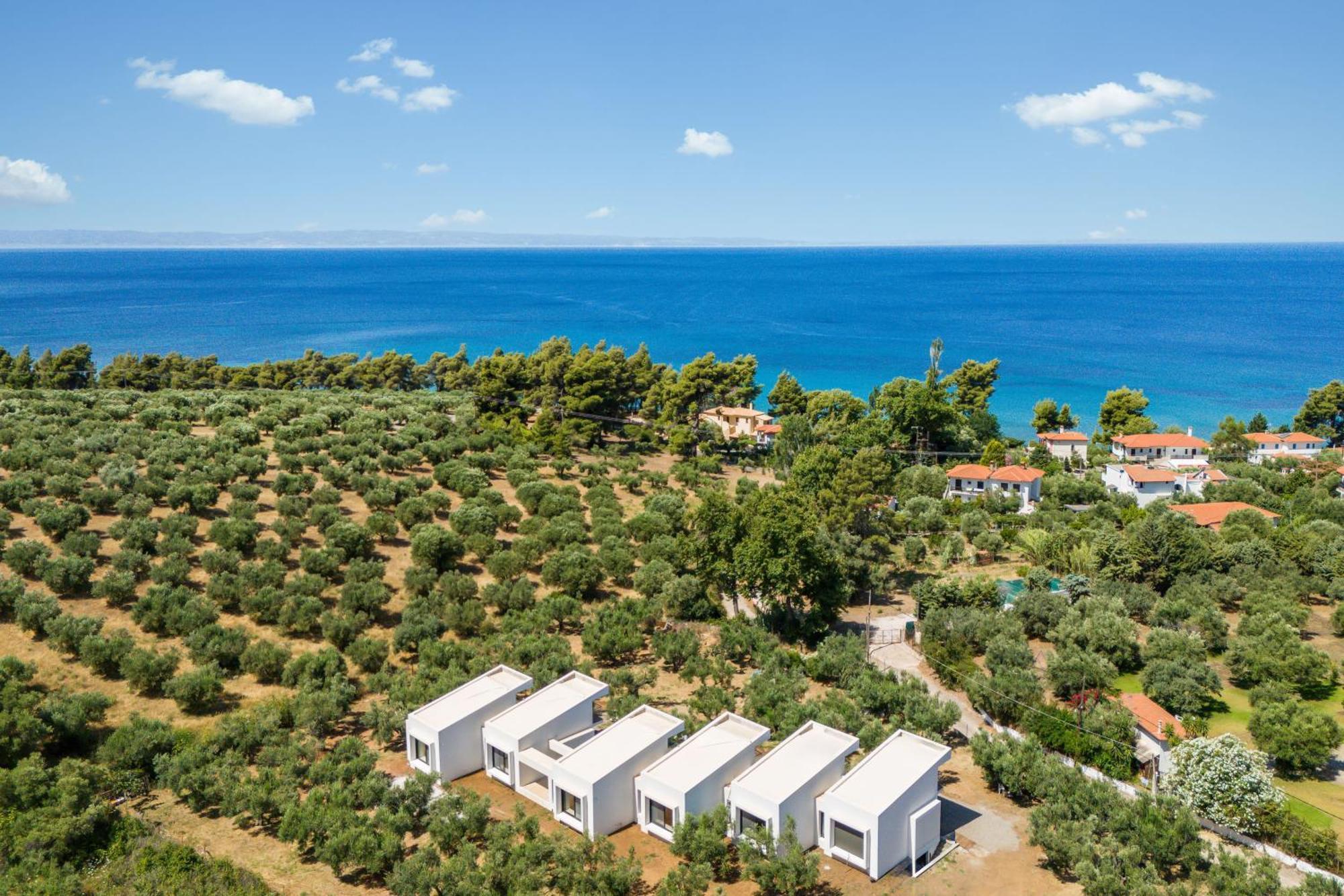 Olea By Halu!, Cozy In Nikiti Lagomandra